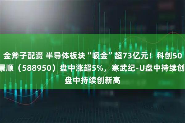 金斧子配资 半导体板块“吸金”超73亿元！科创50ETF景顺（588950）盘中涨超5%，寒武纪-U盘中持续创新高