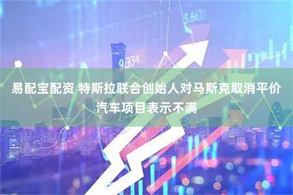 易配宝配资 特斯拉联合创始人对马斯克取消平价汽车项目表示不满